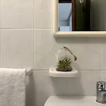 Jet דירה